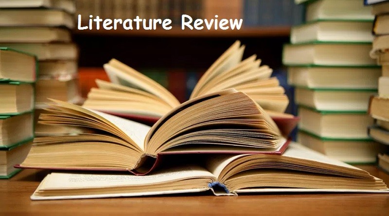 literature review o que e