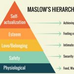 Maslow's Hierarchy of Need Theory