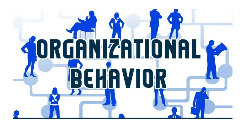 organisational behaviour