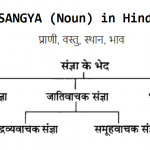 Sangya (noun) in Hindi