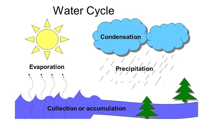 water cycle condensation